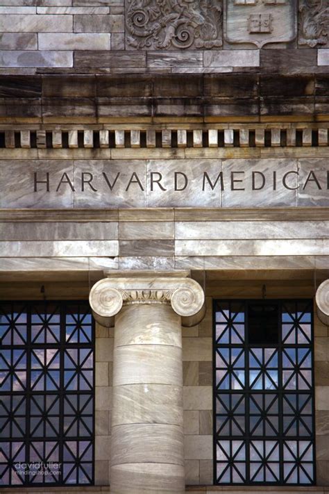 Thefullerview Harvard Medical School Medical School Motivation