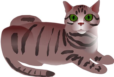 Tabbed Cat Clipart Clipground