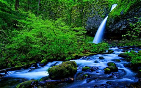 Waterfall And Stream Green Forest Rocks Green Moss Green Nature Landscape Nature 1920x1200