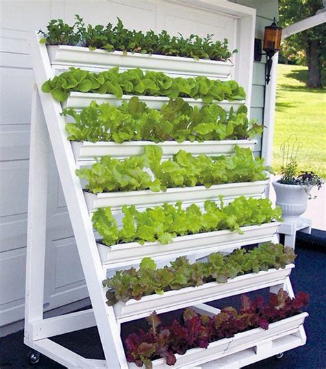 12 Easy To Make Diy Vertical Lettuce Garden Ideas Balcony Garden Web