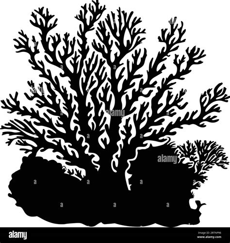 Sea Corals And Seaweed Black Silhouette Vector Isolated Stock Vector