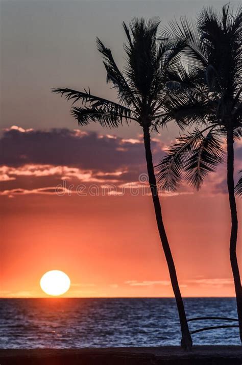 Beautiful Hawaiian Sunset Over The Ocean With Palm Trees Stock Photo