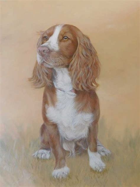 Dog Portraits By Lorraine Gray Beautiful Hand Painted Dog Portraits