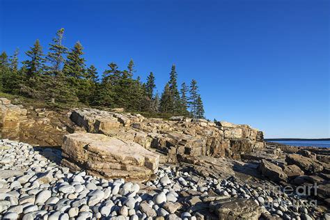 Coastal Acadia Photograph By John Greim Fine Art America