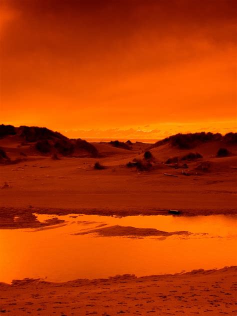 Free Download Sunset Desert Wallpaper 1920x1080 Sunset Desert