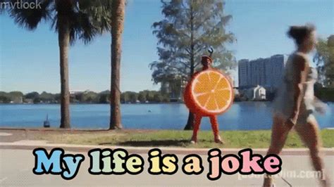 Adult Swim My Life Is A Joke  Find And Share On Giphy