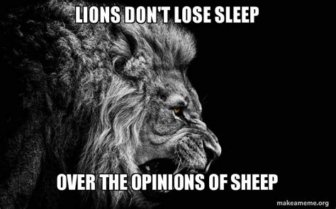 Lions Don T Lose Sleep Over The Opinions Of Sheep Make A Meme