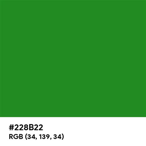 Forest Green Color Hex Code Is 228b22
