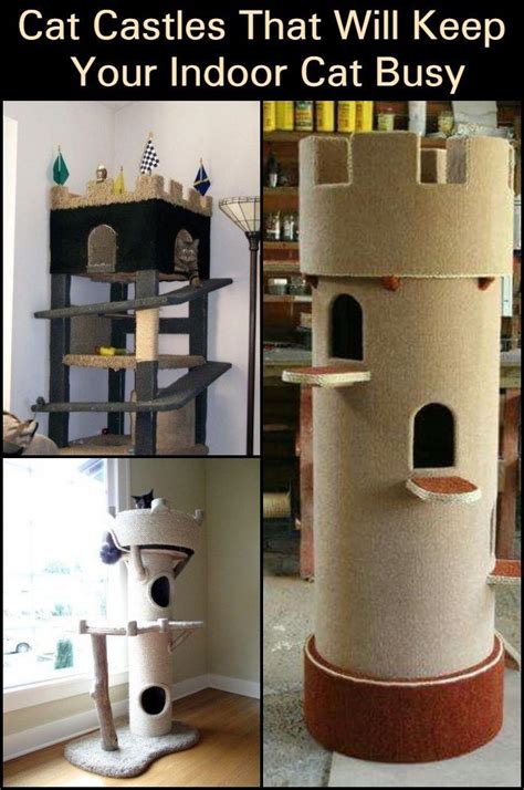 Take Inspiration From These Beautiful Cat Castle Ideas And Build One