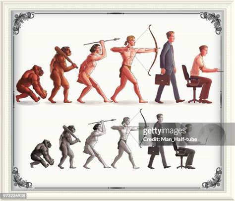 Evolution Stages From Ape To Human Photos And Premium High Res Pictures