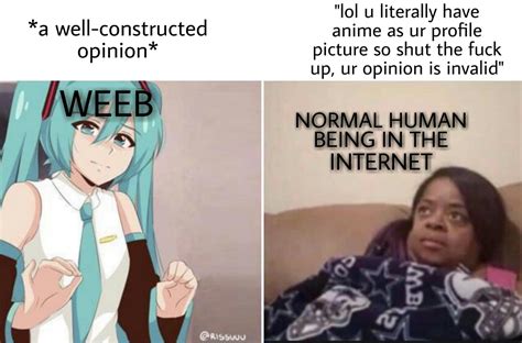 Your Opinion Is Invalid Weeb Ranimemes