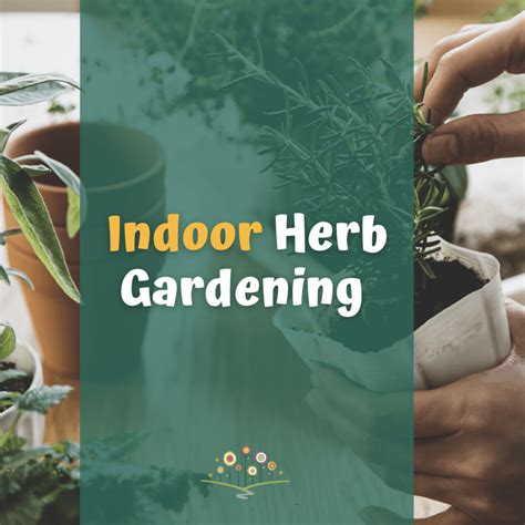 A Ten Step Guide To Growing Your Indoor Herb Garden Chippewa Valley