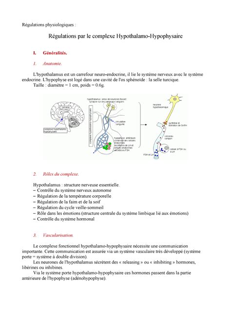 Régulations Par Le Complexe Hypothalamo Hypophysaire Généralités