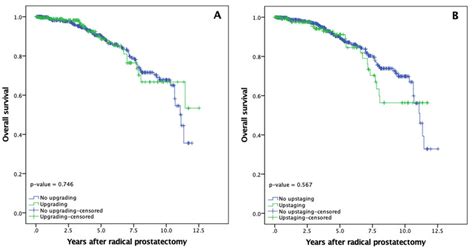 Prostate Cancer Overall Survival Rates After Radical Prostatectomy A