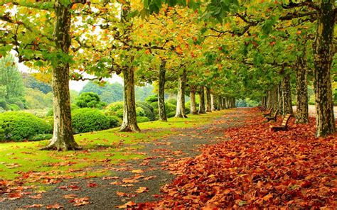 Autumn In Ireland Wallpapers Top Free Autumn In Ireland Backgrounds