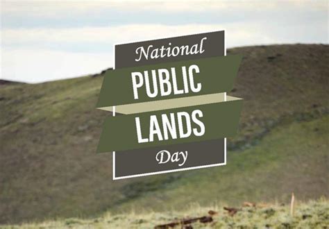Forest Service Partners With Uw To Host Public Lands Day Volunteer