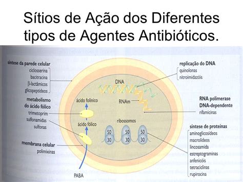 Agentes Antimicrobianos São Compostos Capazes De Impedir O Crescimento