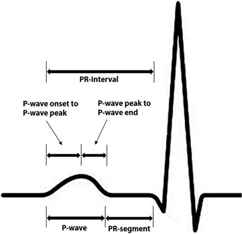 Pr Interval Components And Atrial Fibrillation Risk From The