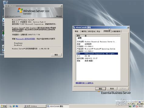 Windows Essential Business Server 20086056092mms Rc1080821 0311
