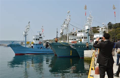 Japanese Fleet Returns From Antarctic Hunt With 333 Whales Inquirer News