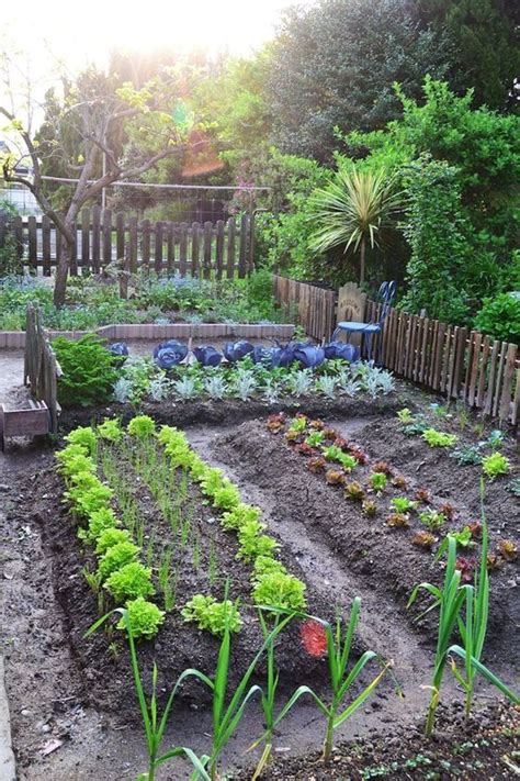 18 Fabulous Backyard Vegetable Garden Design Ideas For