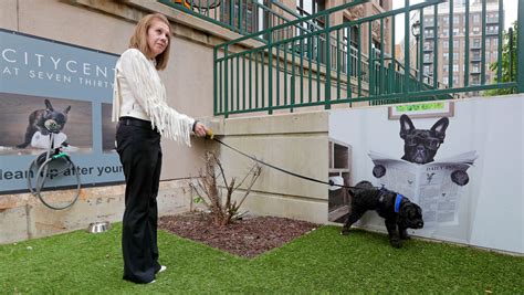 A pee spot for dogs helps downtown Milwaukee office building compete