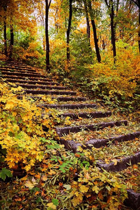 Stairs In Autumn Park Staircase Under The Cover Of Autumn Leaves In
