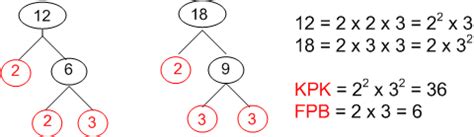 Kumpulan Teori Matematika Cara Mencari Kpk Dan Fpb Dengan Pohon