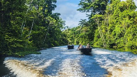 Amazon River Cruises Luxury Cruise Travel And Wildlife Tour