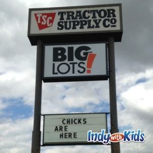 Check spelling or type a new query. See Baby Chicks at the Tractor Supply Store or Rural King