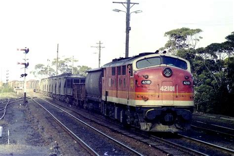 Sra Nsw 42 Class Diesel Electric Locomotive Mainline Ahead Of A