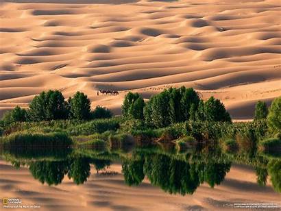 Desert Dune Geographic National Trees Lake Camels