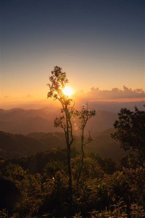 Sunset Shining Over Mountain With Tree Branch In Tropical Rainforest