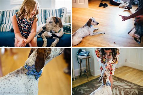 Phuong and rich were one of my easiest clients to work with and considering both of them lived in the dc area, i did everything remotely for communication. Sunken Garden - Lauxmont Farms Wedding | Aubrey & Barrett