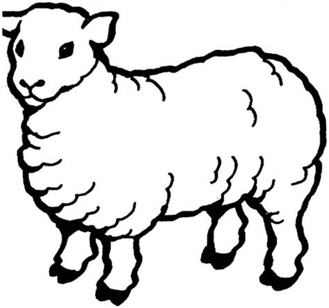 Flock of sheep at breakfast. Sheep Coloring Page For Kids : Coloring Sky