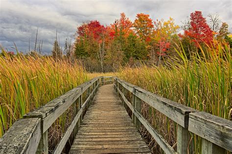 Autumn Colour At The Old Quarry Trail Ottawa Pentax User Photo Gallery