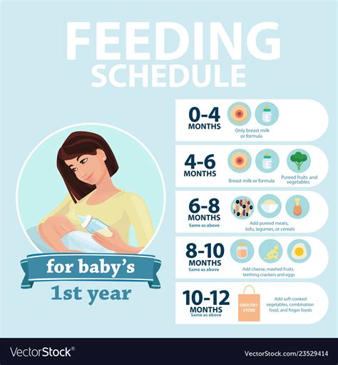 Feeding Schedule For Babies 1 Year Tips Royalty Free Vector