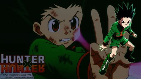 Online Crop Hunter Digital Wallpaper Hunter X Hunter Gon Freecss