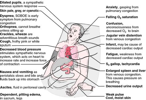 Can Anxiety Cause High Blood Pressure And Chest Pain Pat Adkins Info