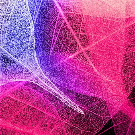 Discover versace's exclusive wallpaper collection: iPad Retina