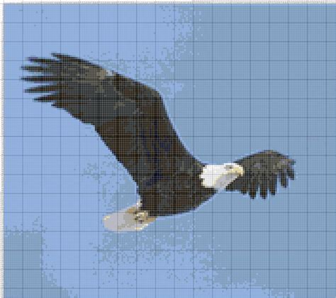 Seperti yang di ketahui semua orang bahwa indonesia merupakan negara yang memiliki. Gambar Burung Garuda Dan Penjelasan - Gambar C