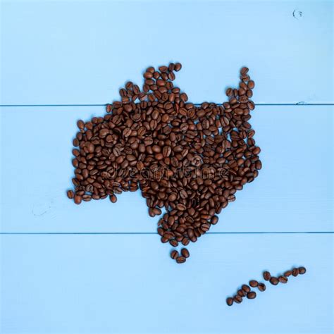 Can i import coffee into australia. Concept, Sorting Coffee Beans Stock Photo - Image of group, meeting: 113483382