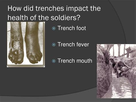 Ppt Essential Question Did The Benefits Of Trench Warfare Outweigh The Negative Impacts