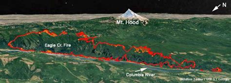 Eagle Creek Fire Burns Structures And Forces Evacuations Along The