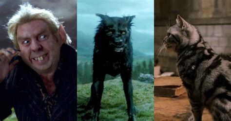 10 Little Known Facts About Animagus In The Harry Potter Universe