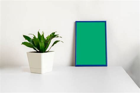 Green Screen Backgrounds Office Stock Photos Pictures And Royalty Free