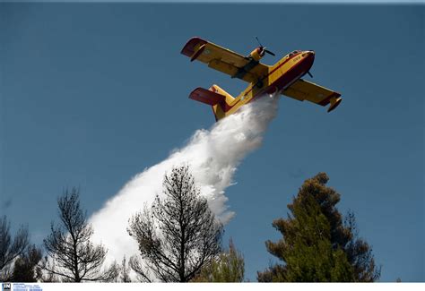Εκτός ελέγχου η φωτιά στην εύβοια: Εύβοια: Σε εξέλιξη φωτιά σε δάσος! Μάχη με το χρόνο δίνουν ...