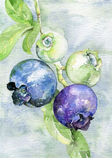 Blueberry Illustration Art Print Etsy In Watercolor Art Art
