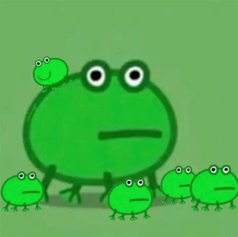 But that anti racism message really resonated because i'm not the only person in crypto there was just one slight problem: frogs after seggs in 2020 | Frog meme, Cute frogs, Frog ...