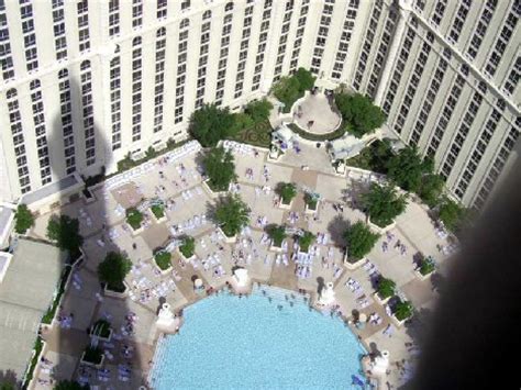 All about the paris hotel & casino, las vegas. Sin City Skinny Dip: 10 Luxurious Las Vegas Hotel Pools ...